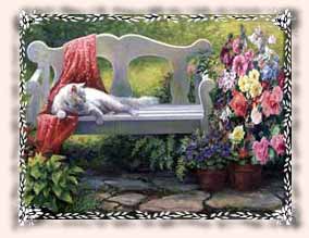 Picture of kitty sitting on bench and flowers